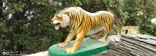 Shimla Manali Taxi Tour with Rohtang Pass