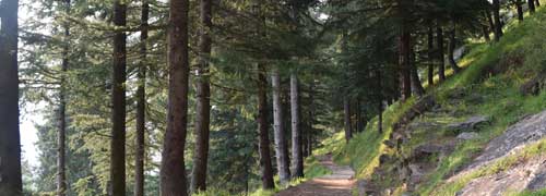 Kinnaur Valley Taxi Package